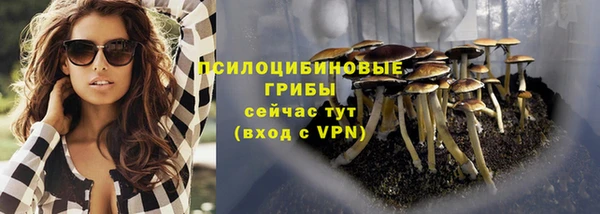 альфа пвп Надым